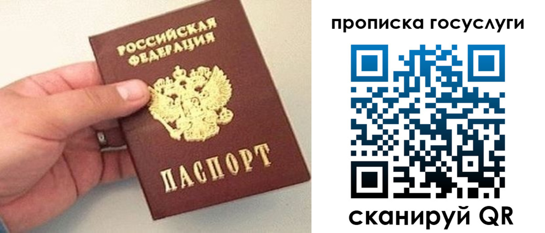 где прописаться в Белой Калитве